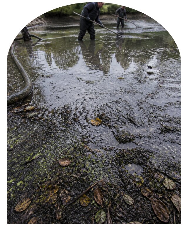 Очистка пруда в Магадане от ила мусора и водорослей с вывозом